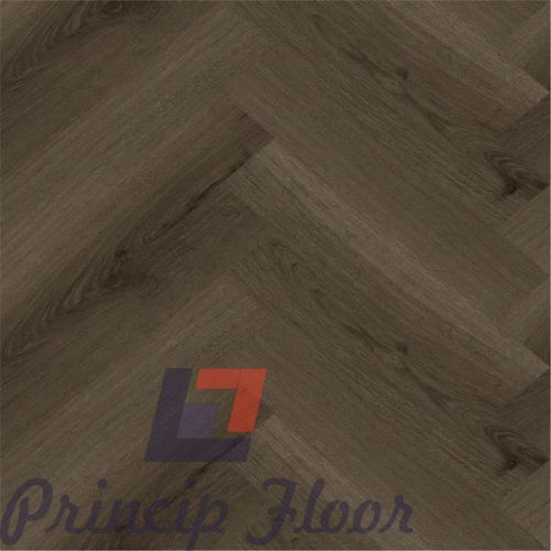 ����������� ��� SPC Strong Step Ideal ������� ���� 2