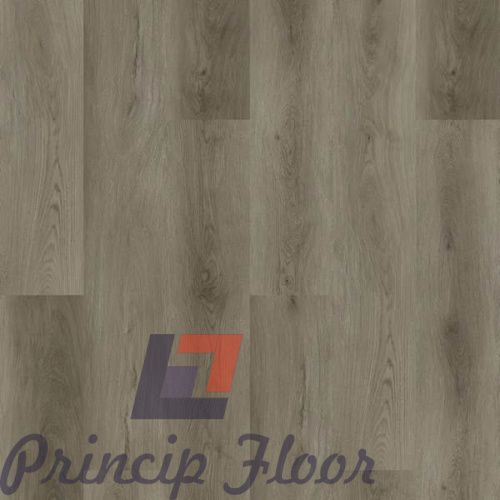 ����������� ��� SPC Strong Step Comfort ������ ���� 2