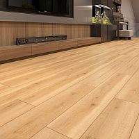 ����������� ��� SPC Evo Floor Home ��� �������