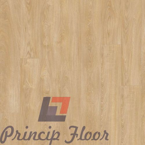 ����������� ��� RIGIT Moduleo Next Royal Oak 282 ���� 4
