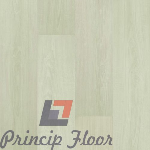 ����������� ��� SPC Fargo Comfort ��� ����� ���� 4