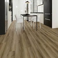 ����������� ��� SPC Strong Step Expert XXL ���������