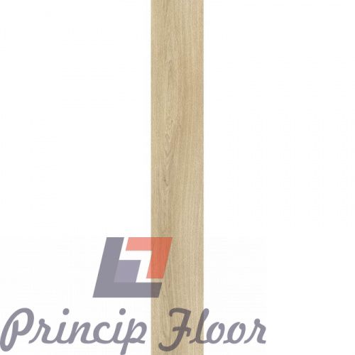 ����������� ��� RIGIT Moduleo Next Noble Oak 246 ���� 2