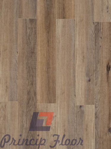 ����������� ��� SPC MyStep Aqua 5 Tiber ���� 2