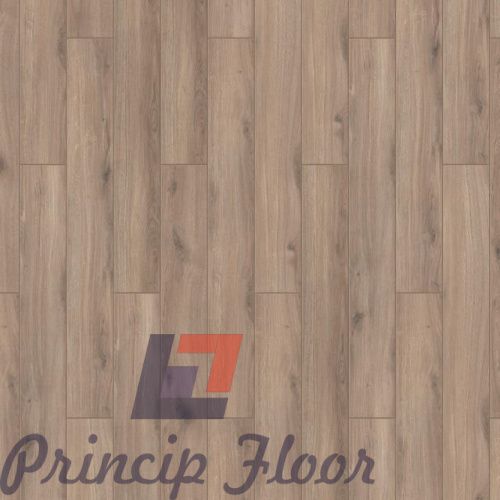 Tarkett ������  �� Princip Floor