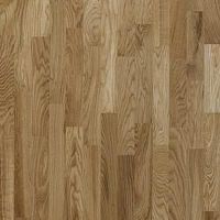 ������ Focus Floor Classic 3S OAK LIBECCIO HIGH GLOSS ��������� ���