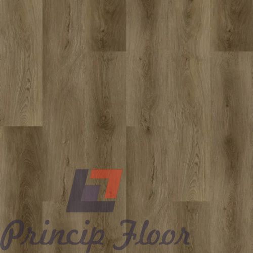 ����������� ��� SPC Strong Step Expert XXL ��������� ���� 2