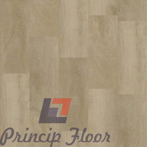 ����������� ��� SPC Strong Step Expert ������ ���� 2