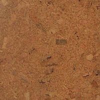 ��������� ������ CORKART Lite CM3 319v NN �����������