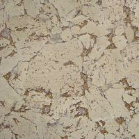 ��������� ������ CORKART �orkGard PW3 324c NK-3.0 ������
