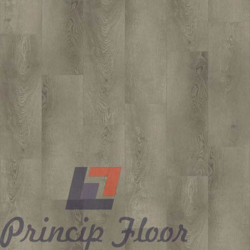 ����������� ��� SPC Strong Step Expert ������� ���� 2