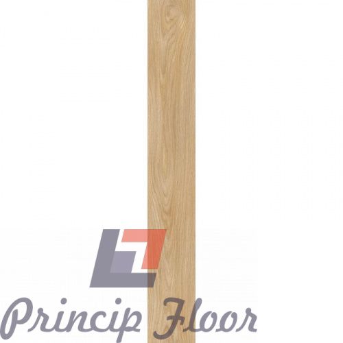 ����������� ��� RIGIT Moduleo Next Royal Oak 282 ���� 2