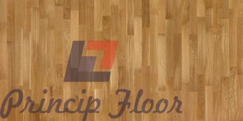 ������ Focus Floor Classic 3S OAK SIROCCO LACQUERED ��� ���� 2
