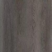 ����������� ��� SPC Karelia Instrumental Plank WOOD Violin