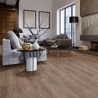 ����������� ��� SPC Tarkett Progressive House Gabriel