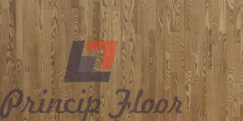 ������ Focus Floor Classic 3S ASH PAMPERO OILED ����� ���� 2