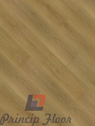 ����������� ��� SPC �������� �������� Plank �������� ���� 5